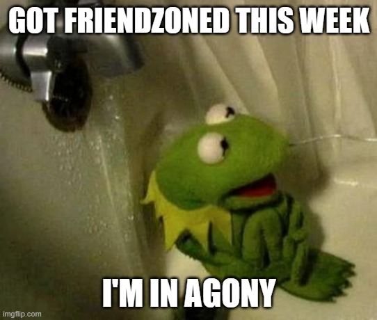 bread in french | GOT FRIENDZONED THIS WEEK; I'M IN AGONY | image tagged in kermit on shower | made w/ Imgflip meme maker
