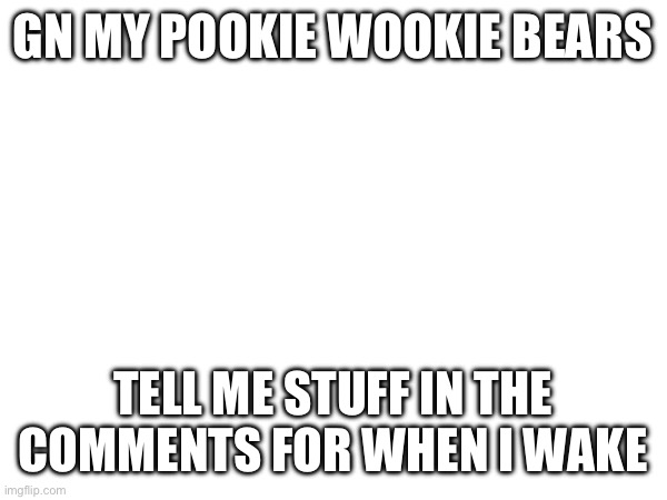 GN MY POOKIE WOOKIE BEARS; TELL ME STUFF IN THE COMMENTS FOR WHEN I WAKE | made w/ Imgflip meme maker