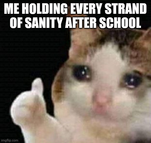 honestly | ME HOLDING EVERY STRAND OF SANITY AFTER SCHOOL | image tagged in sad thumbs up cat,funny memes | made w/ Imgflip meme maker