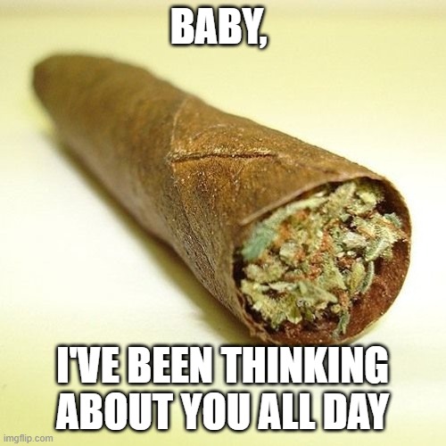 True Romance | BABY, I'VE BEEN THINKING ABOUT YOU ALL DAY | image tagged in big old blunt | made w/ Imgflip meme maker