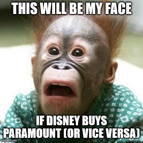 Shocked Monkey | THIS WILL BE MY FACE; IF DISNEY BUYS PARAMOUNT (OR VICE VERSA) | image tagged in shocked monkey | made w/ Imgflip meme maker