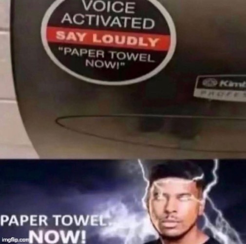 Paper towel now | image tagged in paper towel now | made w/ Imgflip meme maker