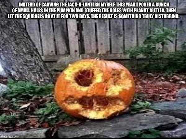 Now that's a W pumpkin | INSTEAD OF CARVING THE JACK-O-LANTERN MYSELF THIS YEAR I POKED A BUNCH OF SMALL HOLES IN THE PUMPKIN AND STUFFED THE HOLES WITH PEANUT BUTTER. THEN LET THE SQUIRRELS GO AT IT FOR TWO DAYS. THE RESULT IS SOMETHING TRULY DISTURBING. | image tagged in fun | made w/ Imgflip meme maker