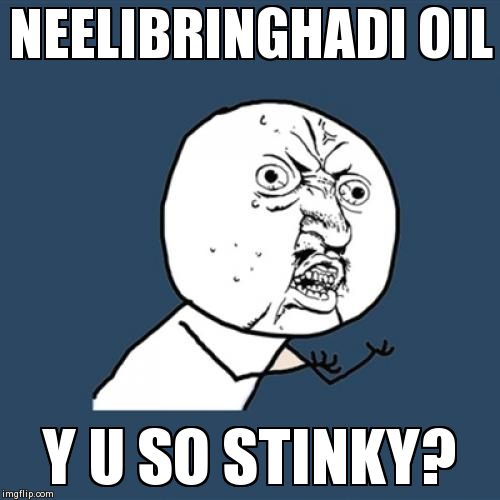 Y U No Meme | NEELIBRINGHADI OIL Y U SO STINKY? | image tagged in memes,y u no | made w/ Imgflip meme maker