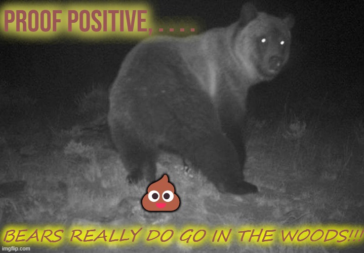 PROOF POSITIVE, . . . . 💩; BEARS REALLY DO GO IN THE WOODS!!! | made w/ Imgflip meme maker