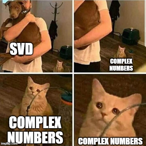 Sad Cat Holding Dog | SVD; COMPLEX NUMBERS; COMPLEX NUMBERS; COMPLEX NUMBERS | image tagged in sad cat holding dog | made w/ Imgflip meme maker