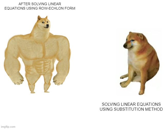 Buff Doge vs. Cheems Meme | AFTER SOLVING LINEAR EQUATIONS USING ROW-ECHLON FORM; SOLVING LINEAR EQUATIONS USING SUBSTITUTION METHOD | image tagged in memes,buff doge vs cheems | made w/ Imgflip meme maker