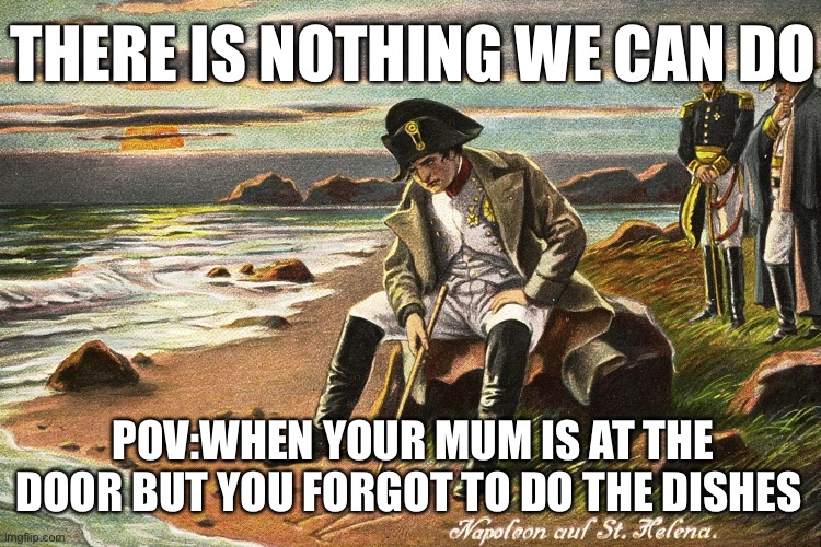 There is nothing we can do | THERE IS NOTHING WE CAN DO; POV:WHEN YOUR MUM IS AT THE DOOR BUT YOU FORGOT TO DO THE DISHES | image tagged in memes | made w/ Imgflip meme maker