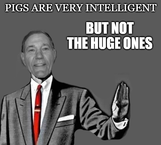 no way | PIGS ARE VERY INTELLIGENT; BUT NOT THE HUGE ONES | image tagged in no way | made w/ Imgflip meme maker