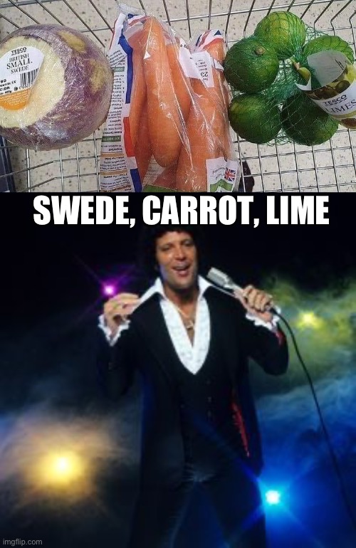 Line of veg and fruit. IDK. | SWEDE, CARROT, LIME | image tagged in tom jones singing,swede,carrot,lime | made w/ Imgflip meme maker