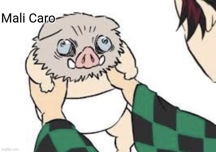 Le skrukl | Mali Caro | image tagged in le skrukl | made w/ Imgflip meme maker