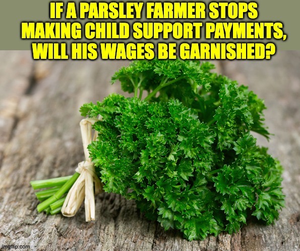 Garnish | image tagged in bad pun | made w/ Imgflip meme maker