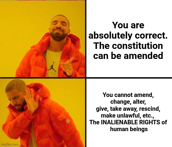 drake yes no reverse | You are absolutely correct.
The constitution can be amended You cannot amend, change, alter, give, take away, rescind, make unlawful, etc.,  | image tagged in drake yes no reverse | made w/ Imgflip meme maker