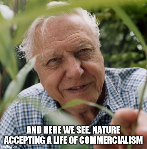 Sir David Attenborough | AND HERE WE SEE, NATURE ACCEPTING A LIFE OF COMMERCIALISM | image tagged in sir david attenborough | made w/ Imgflip meme maker