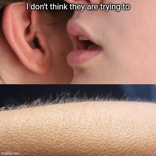 Whisper and Goosebumps | I don't think they are trying to | image tagged in whisper and goosebumps | made w/ Imgflip meme maker