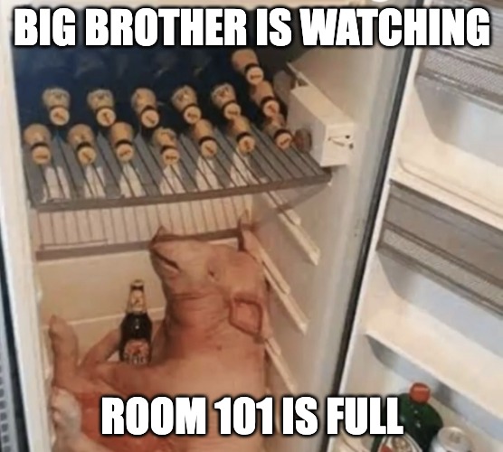 Pig in fridge | BIG BROTHER IS WATCHING; ROOM 101 IS FULL | image tagged in pig in fridge | made w/ Imgflip meme maker
