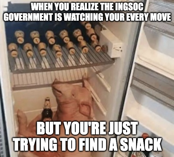 INGSNACK | WHEN YOU REALIZE THE INGSOC GOVERNMENT IS WATCHING YOUR EVERY MOVE; BUT YOU'RE JUST TRYING TO FIND A SNACK | image tagged in pig in fridge,1984,meme,ingsoc,george orwell,pig | made w/ Imgflip meme maker