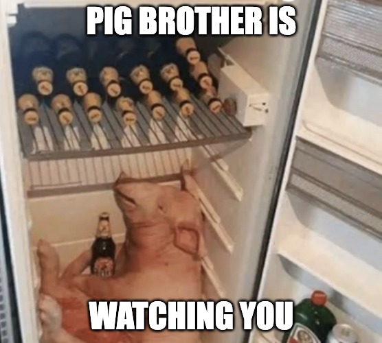 Animal Farm in a nutshell | PIG BROTHER IS; WATCHING YOU | image tagged in pig in fridge,animal farm,napoleon,george orwell,orwell,big brother | made w/ Imgflip meme maker