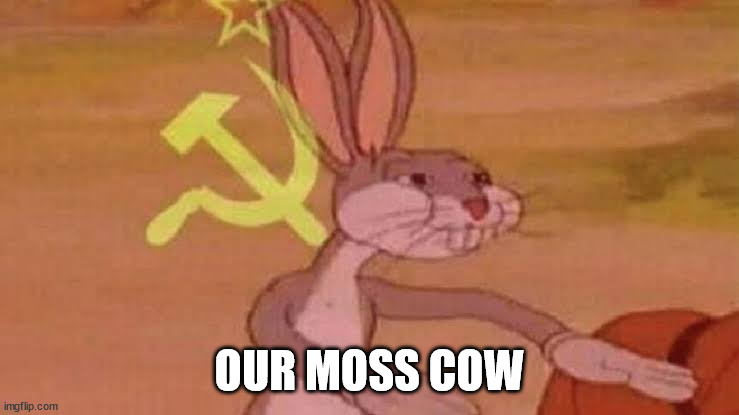 Soviet Bugs Bunny | OUR MOSS COW | image tagged in soviet bugs bunny | made w/ Imgflip meme maker