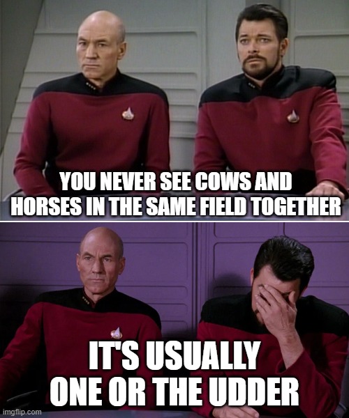 Picard Riker listening to a pun | YOU NEVER SEE COWS AND HORSES IN THE SAME FIELD TOGETHER; IT'S USUALLY ONE OR THE UDDER | image tagged in picard riker listening to a pun,memes | made w/ Imgflip meme maker