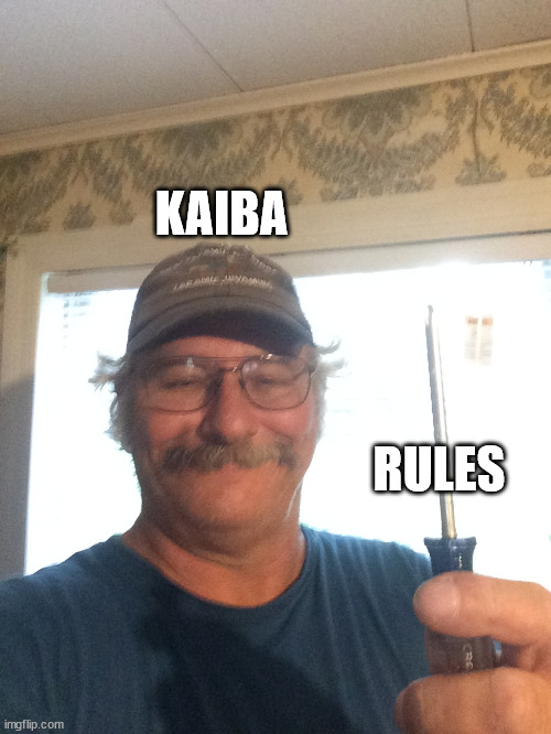 Screw Driver | KAIBA; RULES | image tagged in screw driver | made w/ Imgflip meme maker