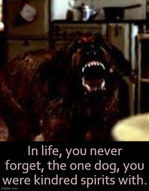 Ol' Boy | In life, you never forget, the one dog, you were kindred spirits with. | image tagged in stephen king,killer,dog,story,1980s,horror movie | made w/ Imgflip meme maker