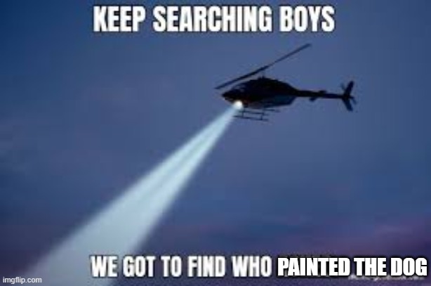 Keep Searching boys we gotta find | PAINTED THE DOG | image tagged in keep searching boys we gotta find | made w/ Imgflip meme maker
