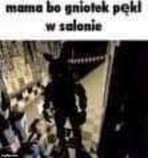 Mama Bo gniotek pekl w salonie | image tagged in mama bo gniotek pekl w salonie | made w/ Imgflip meme maker