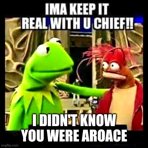 Imma Keep It Real With You Chief | I DIDN'T KNOW YOU WERE AROACE | image tagged in imma keep it real with you chief | made w/ Imgflip meme maker