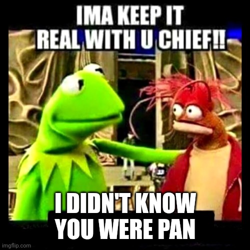 Imma Keep It Real With You Chief | I DIDN'T KNOW YOU WERE PAN | image tagged in imma keep it real with you chief | made w/ Imgflip meme maker
