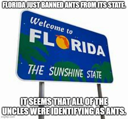 meme by Brad uncles identifying as ants | FLORIDA JUST BANNED ANTS FROM ITS STATE. IT SEEMS THAT ALL OF THE UNCLES WERE IDENTIFYING AS ANTS. | image tagged in insects | made w/ Imgflip meme maker