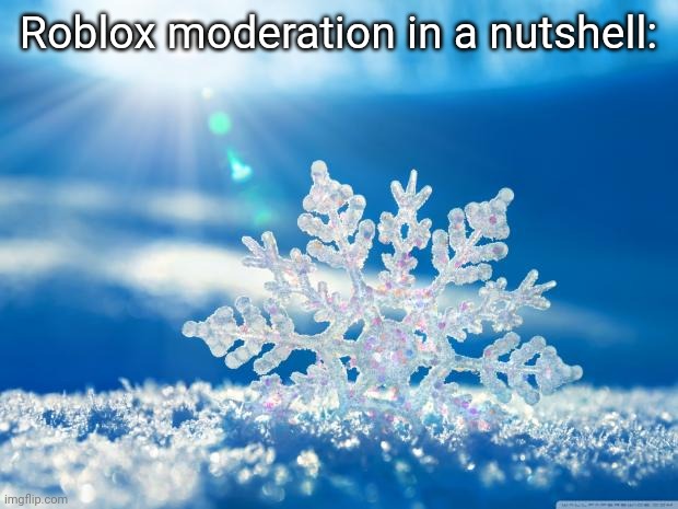 snowflake | Roblox moderation in a nutshell: | image tagged in snowflake | made w/ Imgflip meme maker
