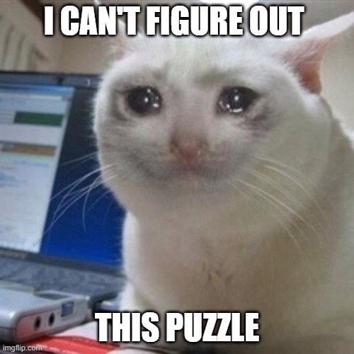 Crying cat | I CAN'T FIGURE OUT; THIS PUZZLE | image tagged in crying cat | made w/ Imgflip meme maker
