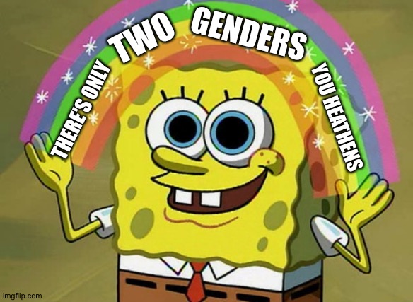 Imagination Spongebob Meme | GENDERS; TWO; THERE'S ONLY; YOU HEATHENS | image tagged in memes,imagination spongebob | made w/ Imgflip meme maker