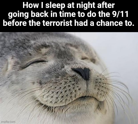 Satisfied Seal Meme | How I sleep at night after going back in time to do the 9/11 before the terrorist had a chance to. | image tagged in memes,satisfied seal | made w/ Imgflip meme maker