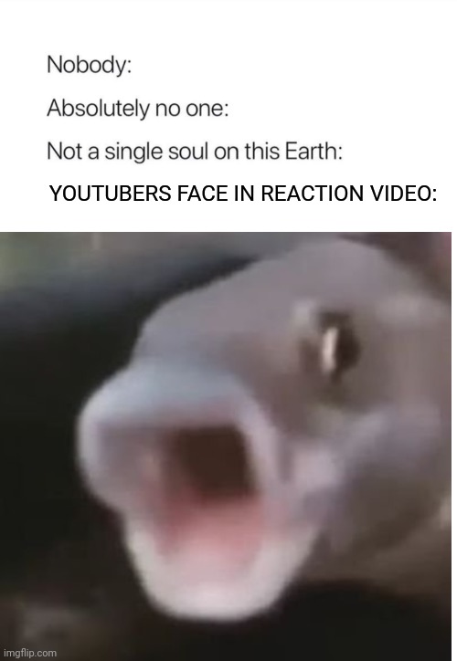 Youtuber meme 1 | YOUTUBERS FACE IN REACTION VIDEO: | image tagged in youtuber,face,reaction,nobody absolutely no one | made w/ Imgflip meme maker