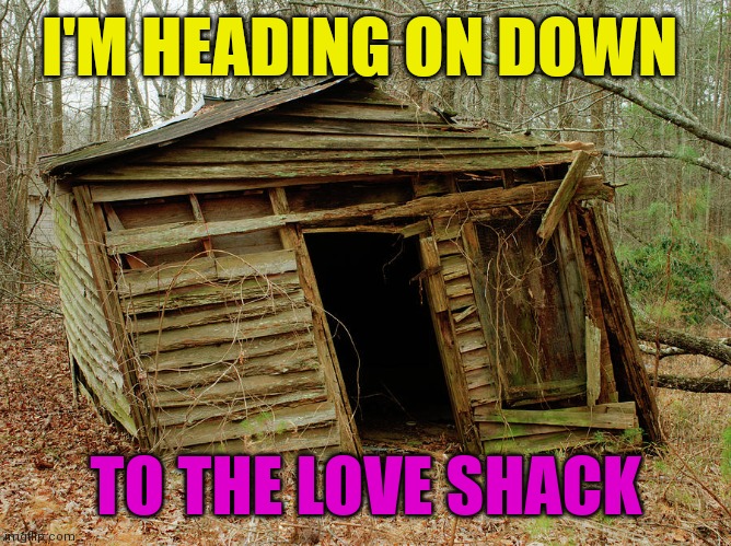 Love Shack | I'M HEADING ON DOWN; TO THE LOVE SHACK | image tagged in shack in the woods,funny memes | made w/ Imgflip meme maker