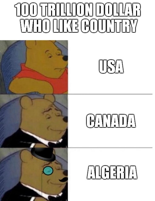 tuxedo winnie the pooh 3 panel in 100 trillion ......................who like the country ? | 100 TRILLION DOLLAR 
WHO LIKE COUNTRY; USA; CANADA; ALGERIA | image tagged in tuxedo winnie the pooh 3 panel | made w/ Imgflip meme maker