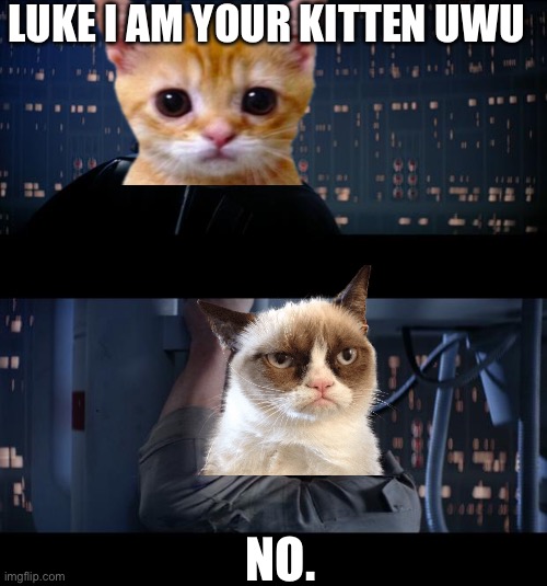 Cat wars: the kitten empire strikes back | LUKE I AM YOUR KITTEN UWU; NO. | image tagged in luke i'm your father,kitten,grumpy cat | made w/ Imgflip meme maker