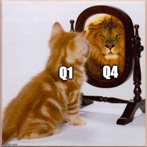 cat mirror lion | Q4; Q1 | image tagged in cat mirror lion | made w/ Imgflip meme maker