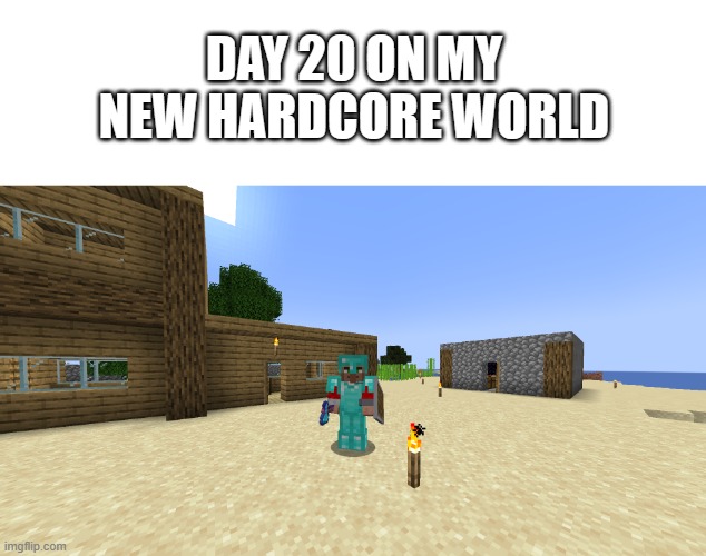 day 20 | DAY 20 ON MY NEW HARDCORE WORLD | image tagged in minecraft,hardcore | made w/ Imgflip meme maker