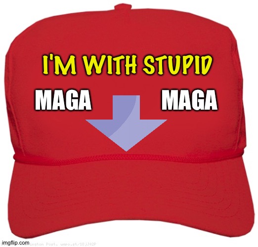 MAGA | I'M WITH STUPID; MAGA                MAGA | image tagged in blank red maga hat | made w/ Imgflip meme maker