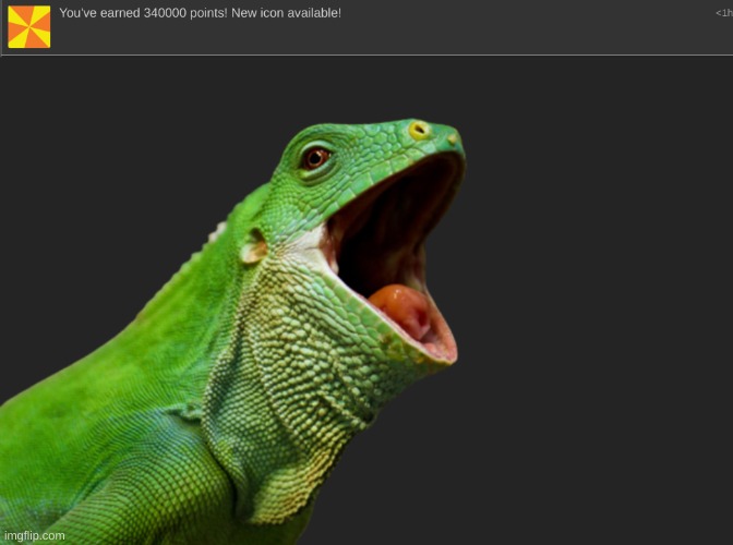 More updates on my mission to beat water you! | image tagged in fiji banded iguana yes | made w/ Imgflip meme maker