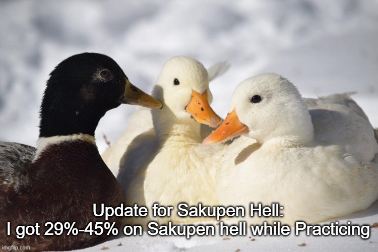 Practice makes Perfect | Update for Sakupen Hell:
I got 29%-45% on Sakupen hell while Practicing | image tagged in dunkin ducks | made w/ Imgflip meme maker