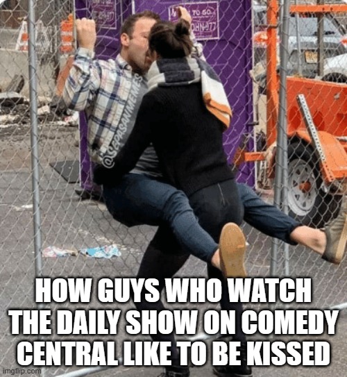 daily show | HOW GUYS WHO WATCH THE DAILY SHOW ON COMEDY CENTRAL LIKE TO BE KISSED | image tagged in kiss | made w/ Imgflip meme maker