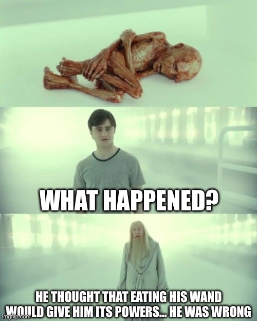 Dead Baby Voldemort / What Happened To Him | WHAT HAPPENED? HE THOUGHT THAT EATING HIS WAND WOULD GIVE HIM ITS POWERS… HE WAS WRONG | image tagged in dead baby voldemort / what happened to him | made w/ Imgflip meme maker