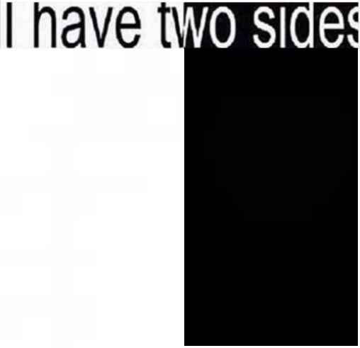 High Quality i have two sides Blank Meme Template