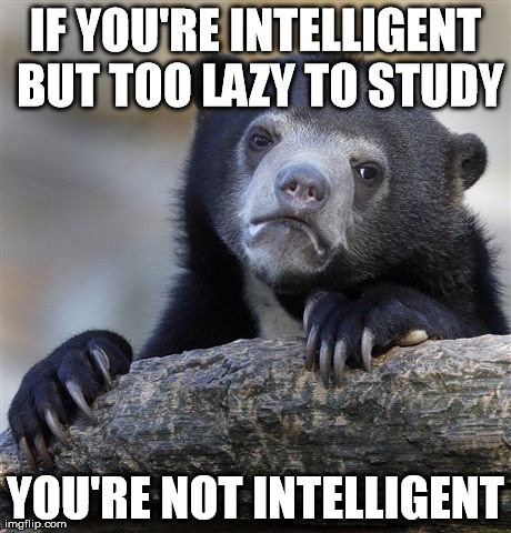 Confession Bear Meme | IF YOU'RE INTELLIGENT BUT TOO LAZY TO STUDY YOU'RE NOT INTELLIGENT | image tagged in memes,confession bear,AdviceAnimals | made w/ Imgflip meme maker