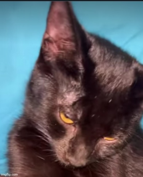 lightskin stare | made w/ Imgflip meme maker