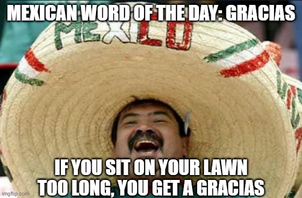 Gracias | MEXICAN WORD OF THE DAY: GRACIAS; IF YOU SIT ON YOUR LAWN TOO LONG, YOU GET A GRACIAS | image tagged in mexican word of the day | made w/ Imgflip meme maker
